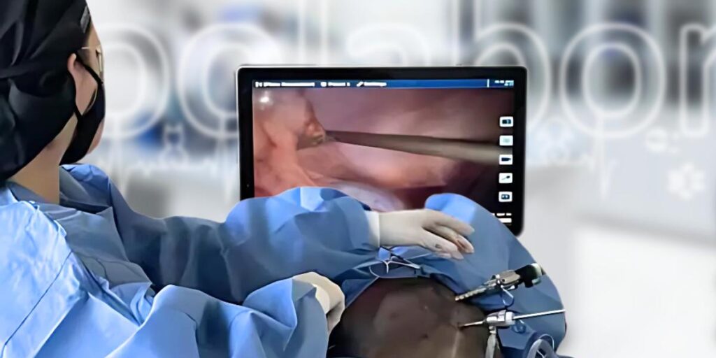 Agende a endoscopia do seu pet agora mesmo